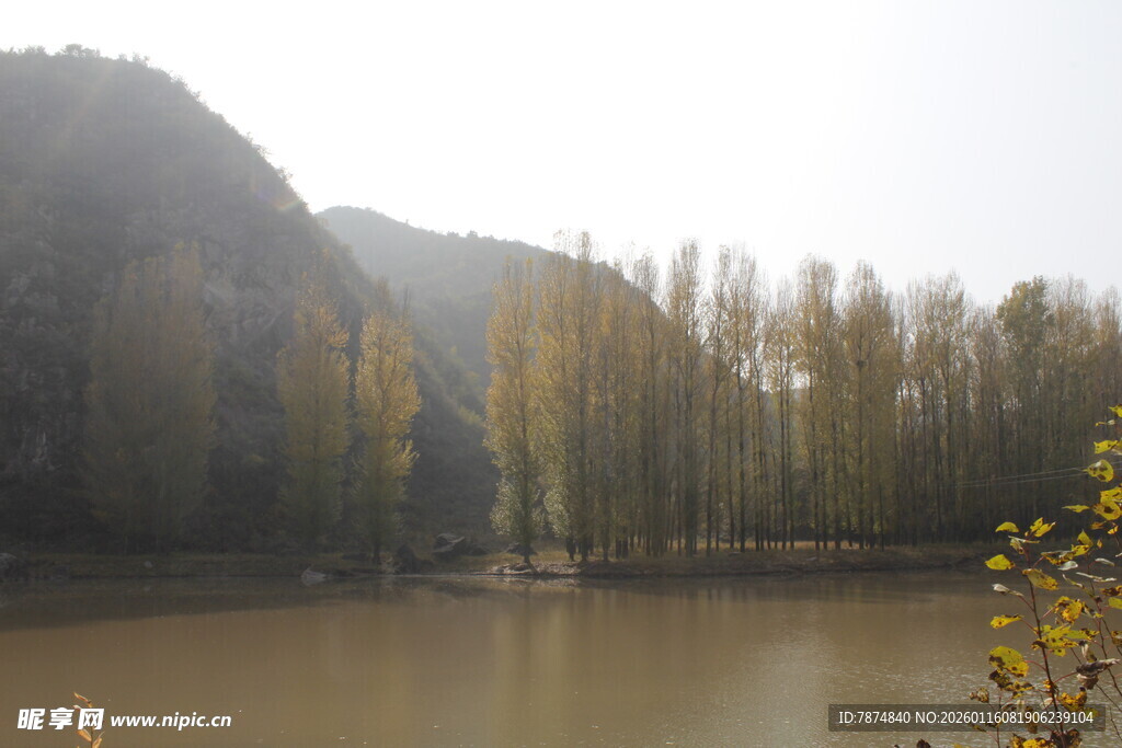 湖畔树林秋景
