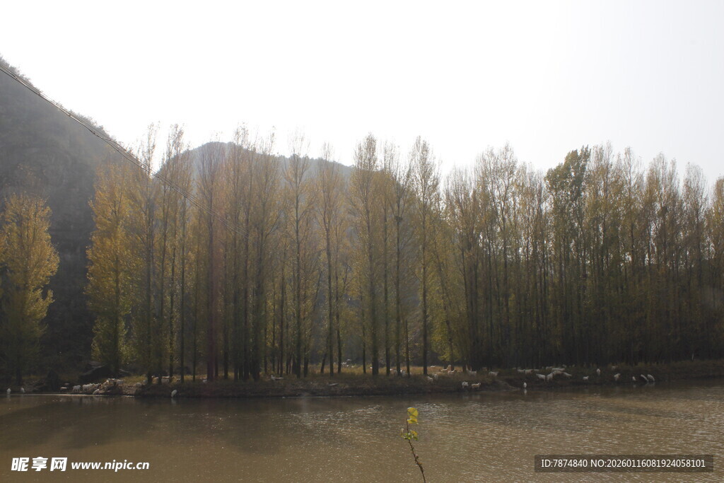 秋日山林旁的开阔水域