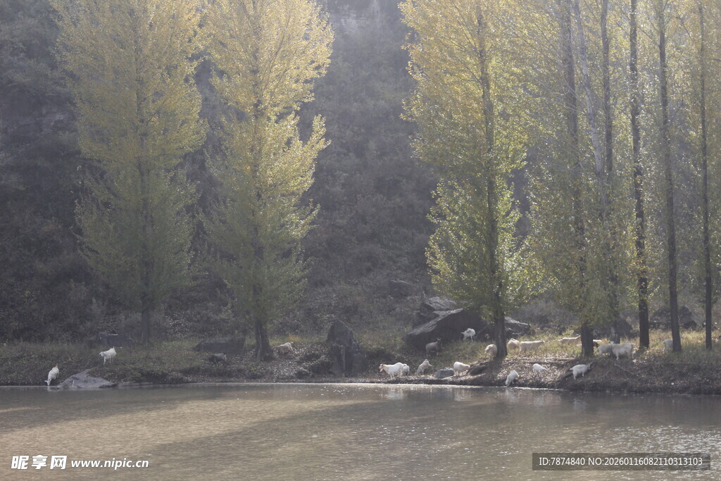 山林河畔的静谧风光