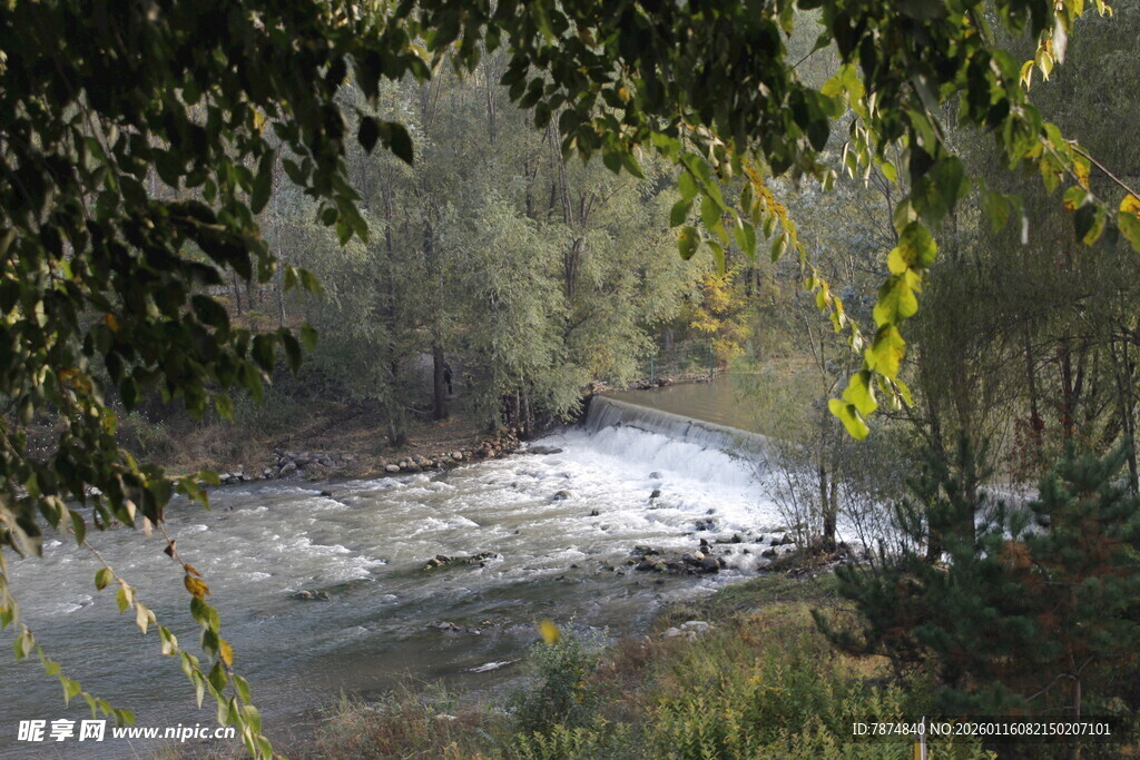 林间溪流 自然光影之美