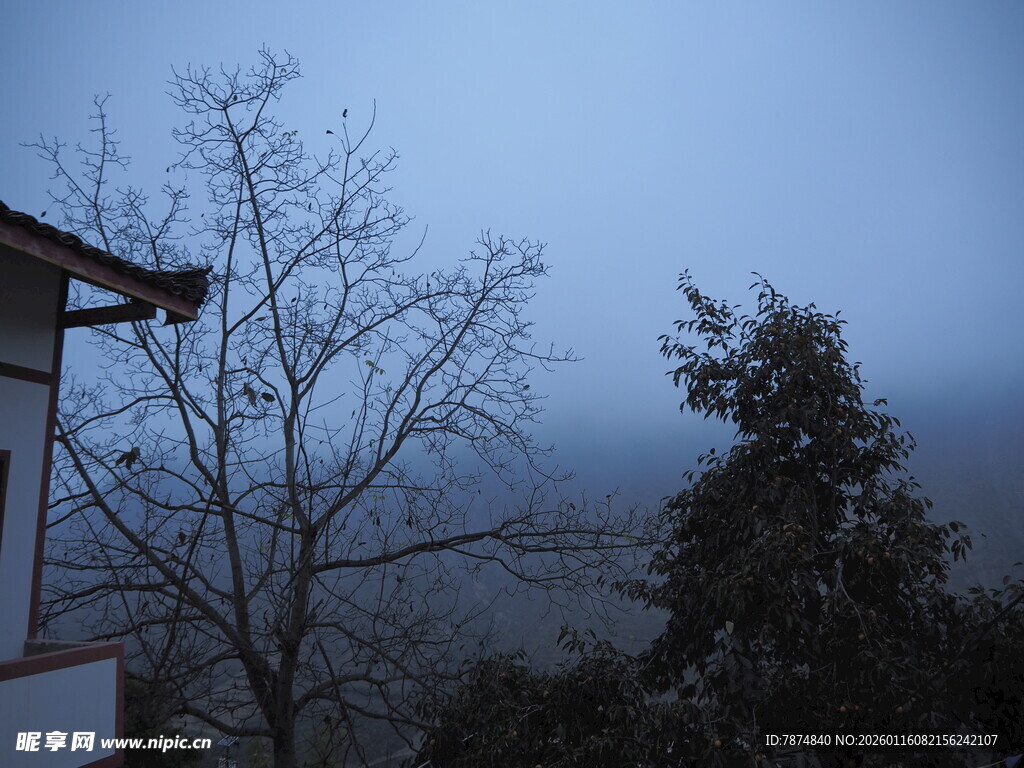雾中屋树景致