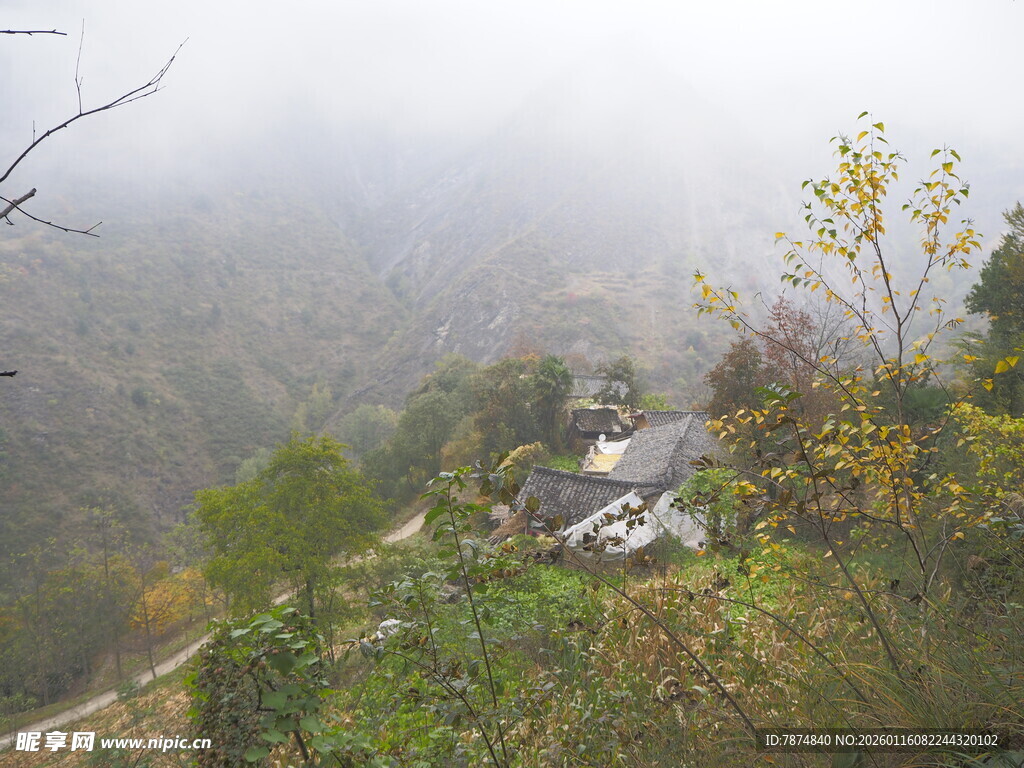 山间雾中村落美景
