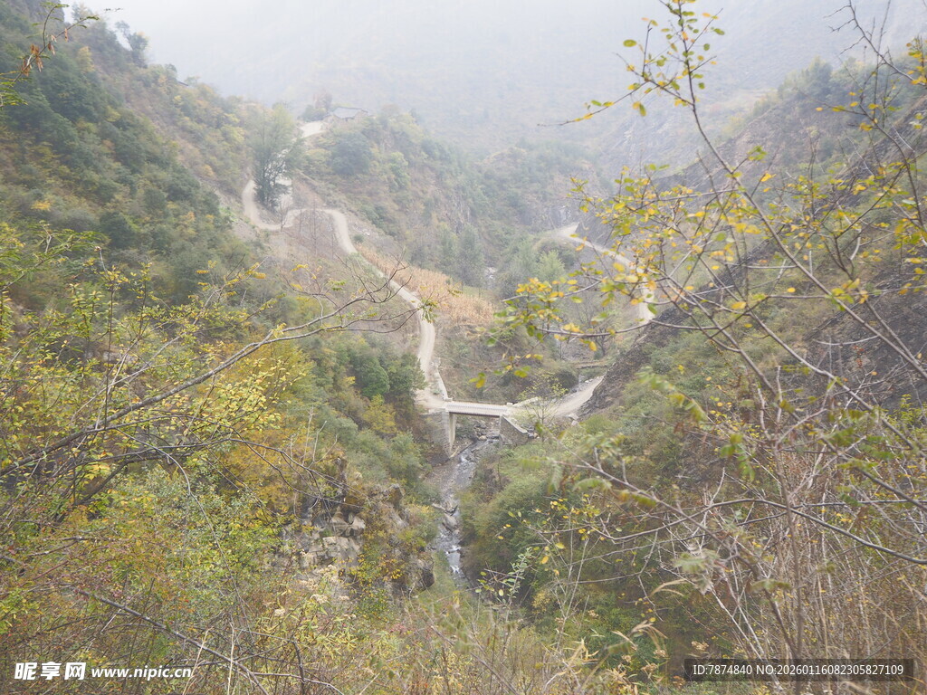 山间瀑布隐于葱郁植被间