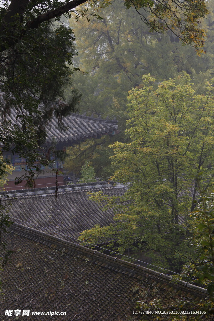 山林中的静谧中式建筑