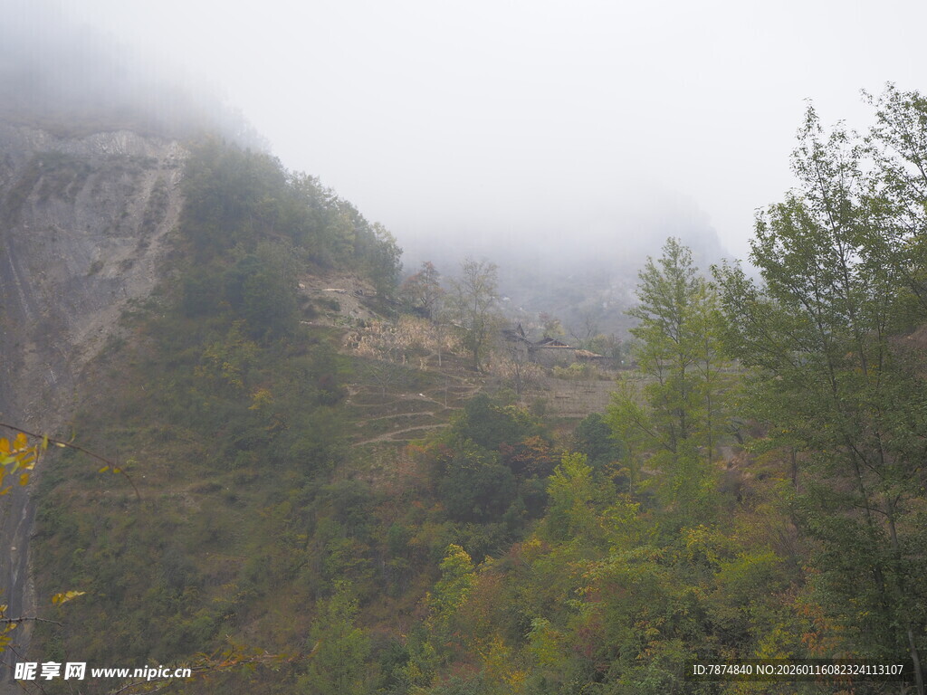 山间云雾缭绕的葱郁景致