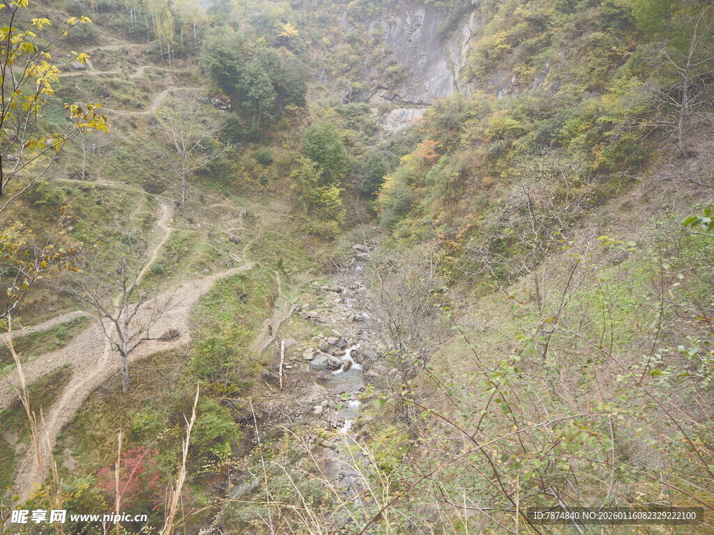 山间蜿蜒小路与茂密植被