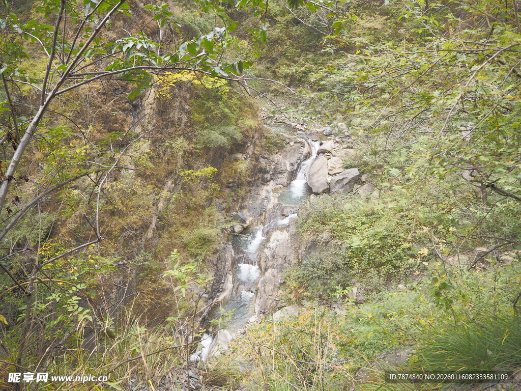 山间溪流穿林而过