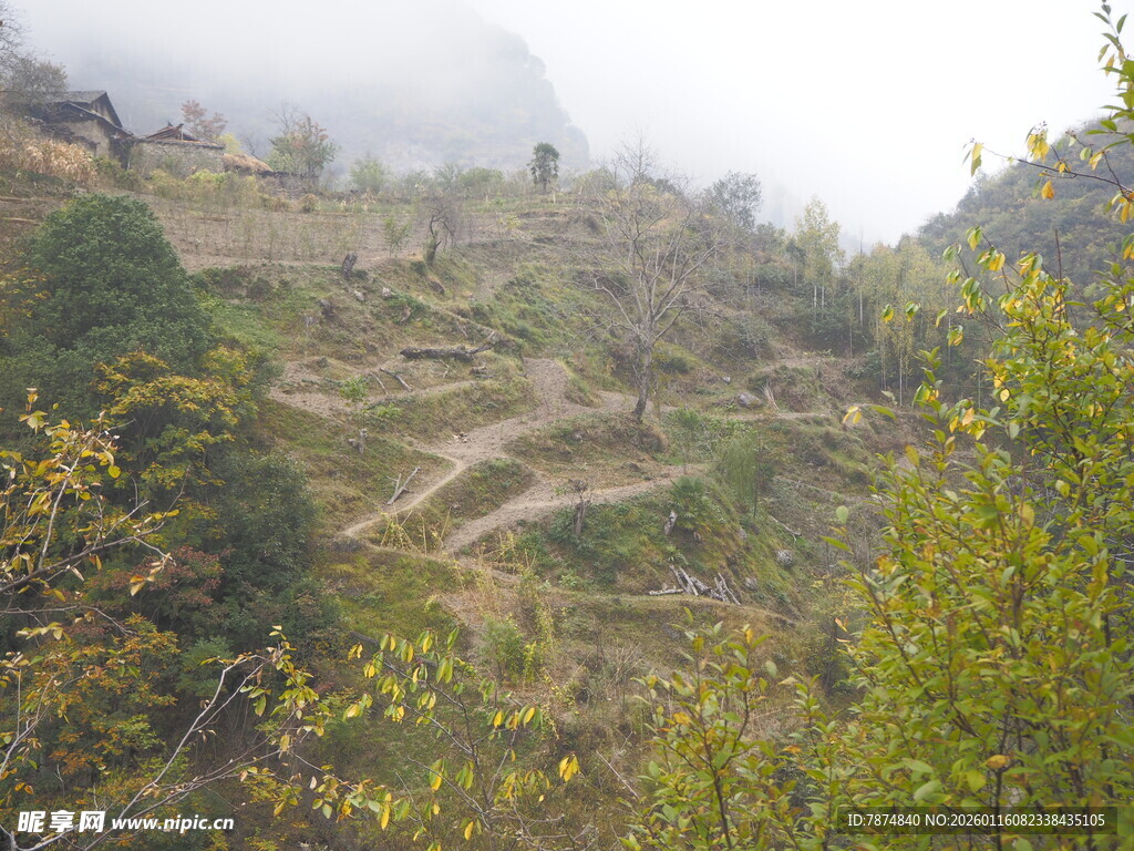 山间蜿蜒小路 绿意环绕