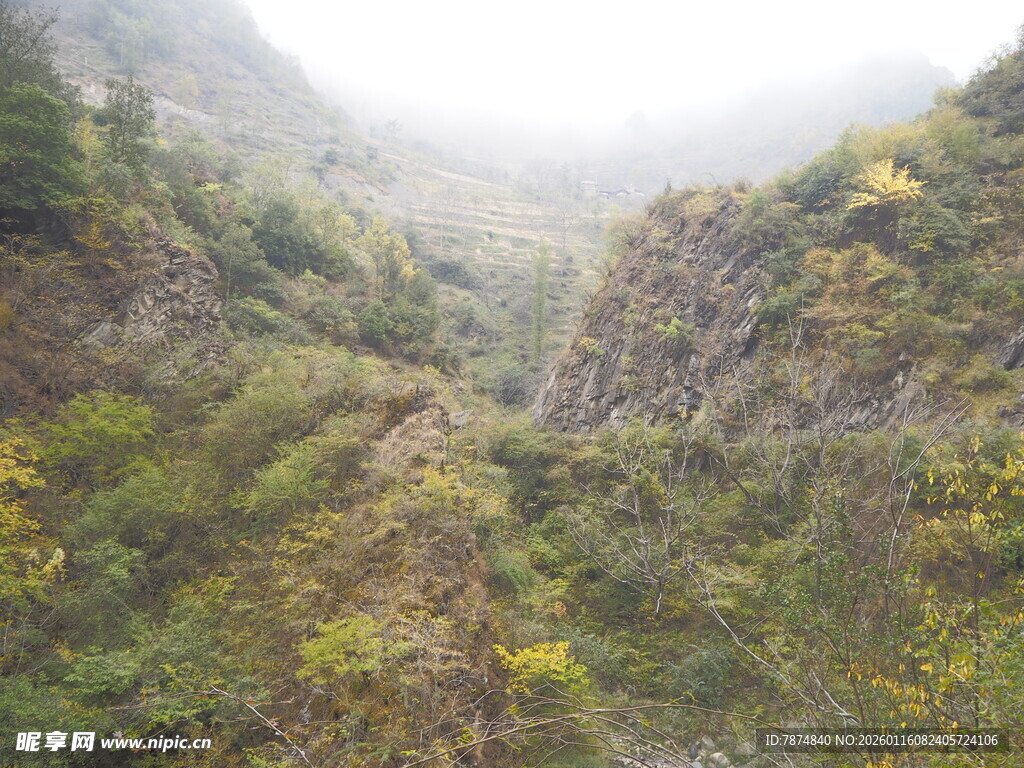 山间峡谷绿意盎然景色美