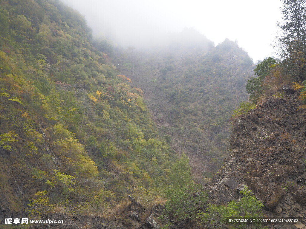 山间云雾缭绕的秀丽峡谷
