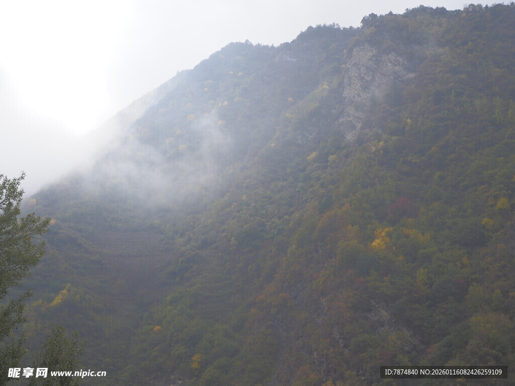 云雾缭绕的山峦美景