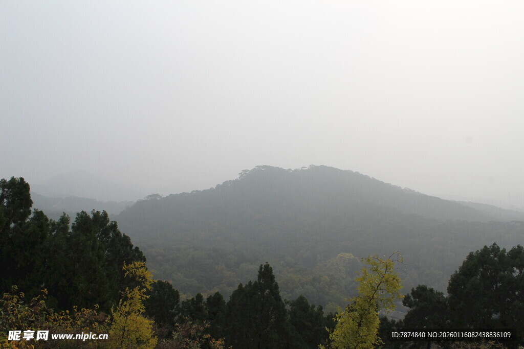 雾霭山林景色