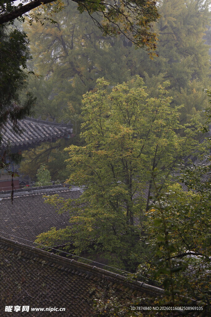 山林间的古朴建筑景观