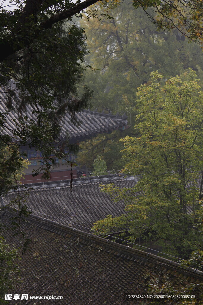 山林中的中式建筑景观