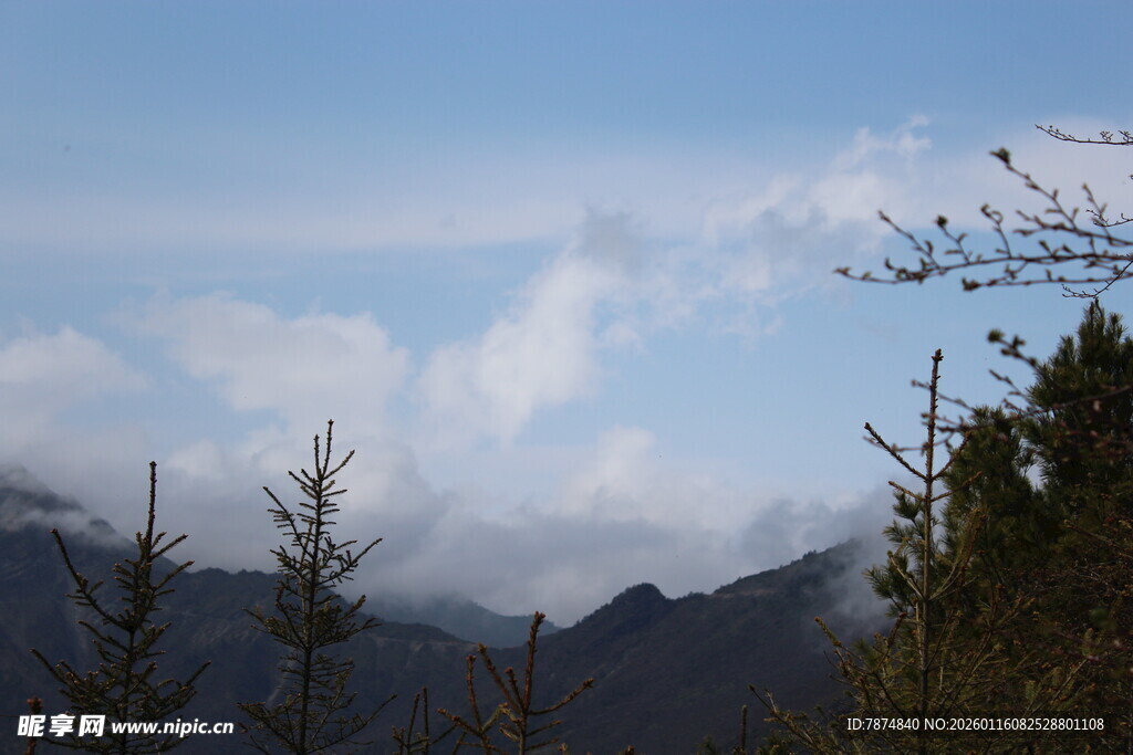 山间云景 树木点缀