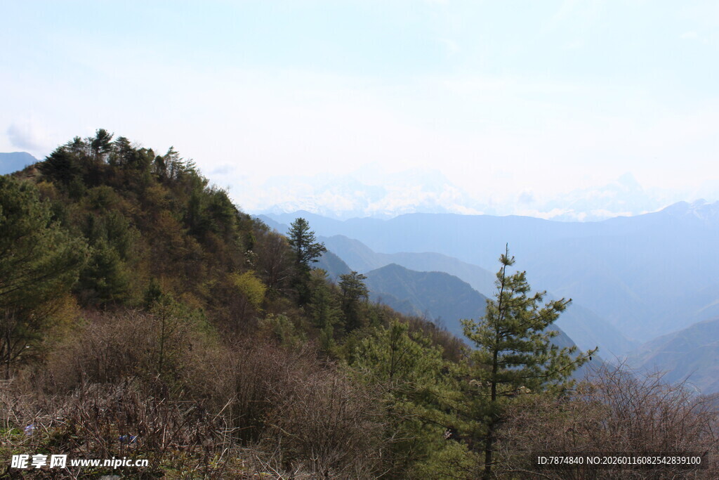 山间景色 绿意盎然的山林