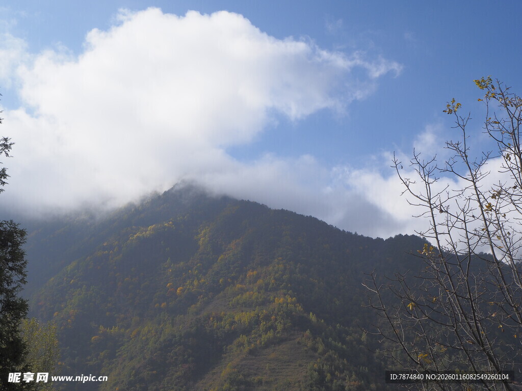 云雾缭绕的青山美景