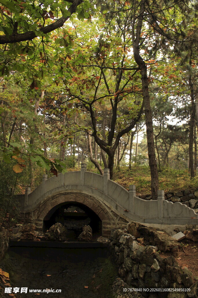 林间石拱桥 静谧自然景