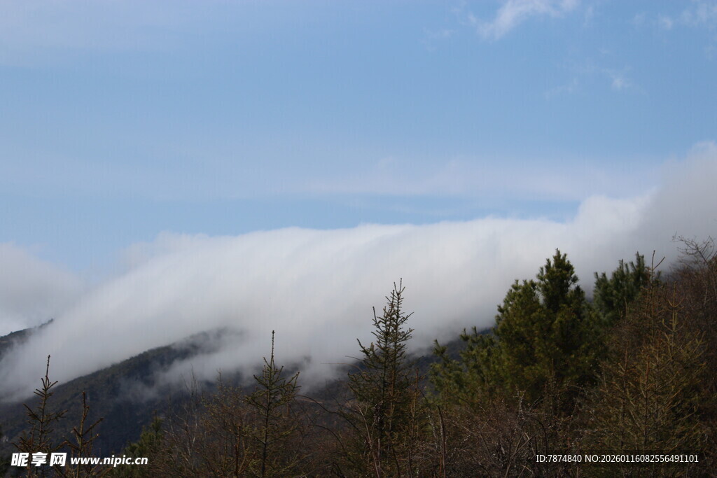 山间云雾缭绕的森林美景