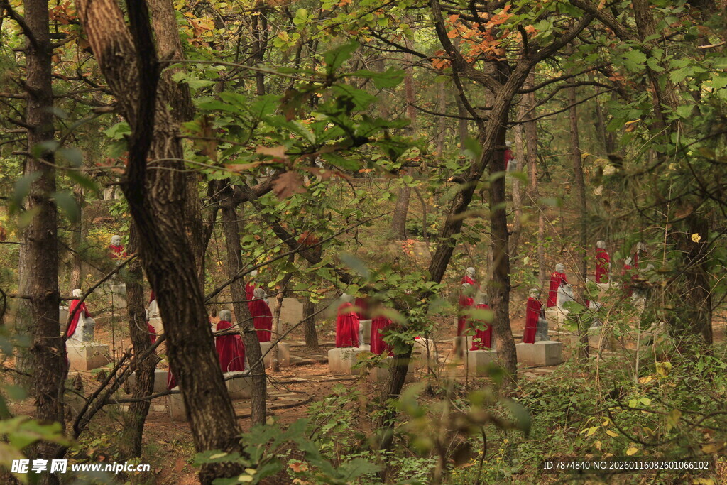 林间红衣队伍穿行