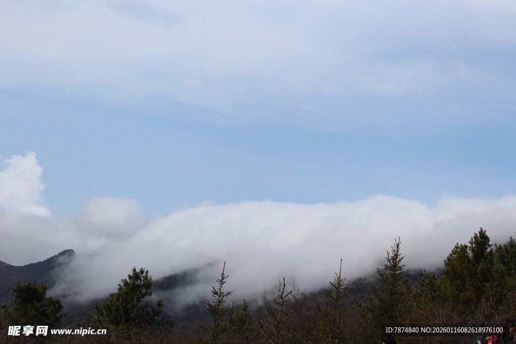 山间云海缭绕 树木点缀