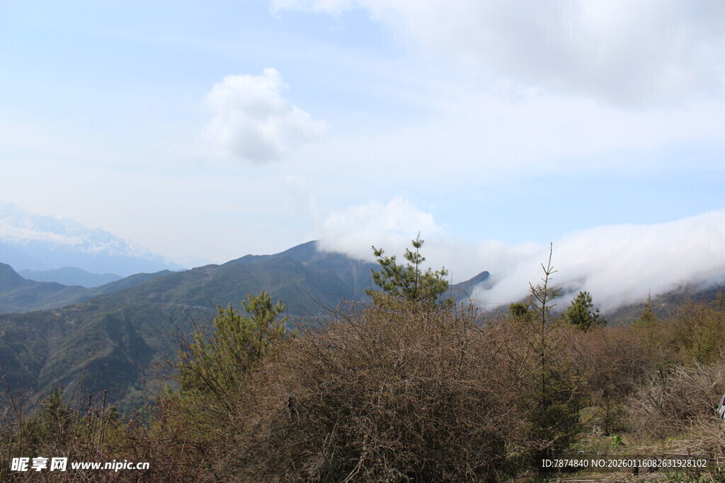 山间景致 云雾缭绕的自然美