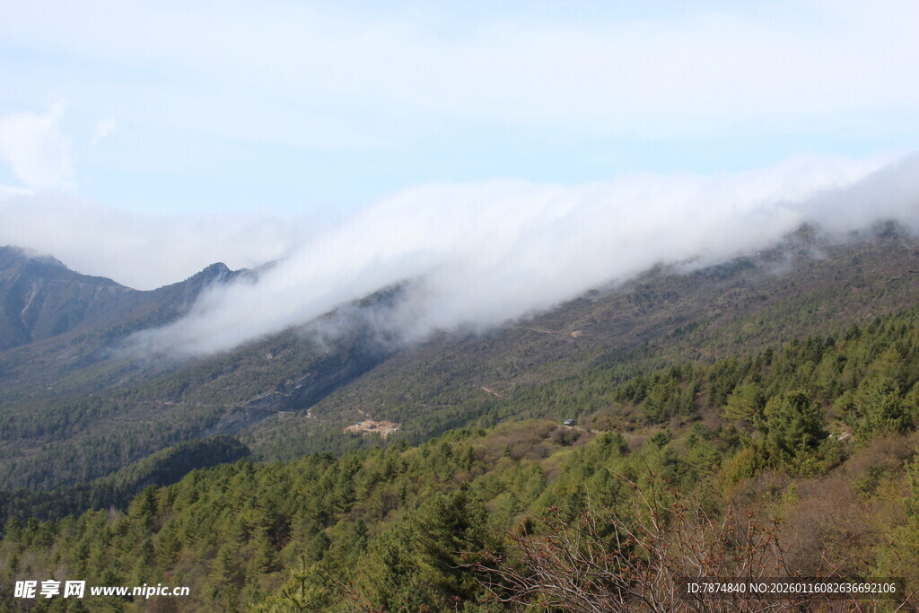 山间云雾缭绕的葱郁山林