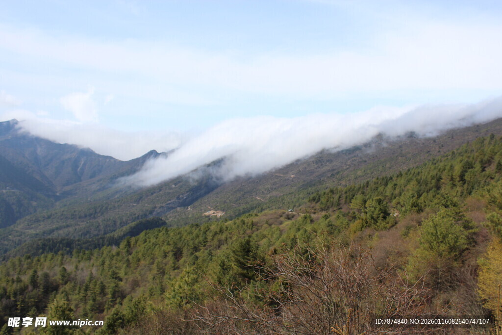 山间云雾缭绕的葱郁山林