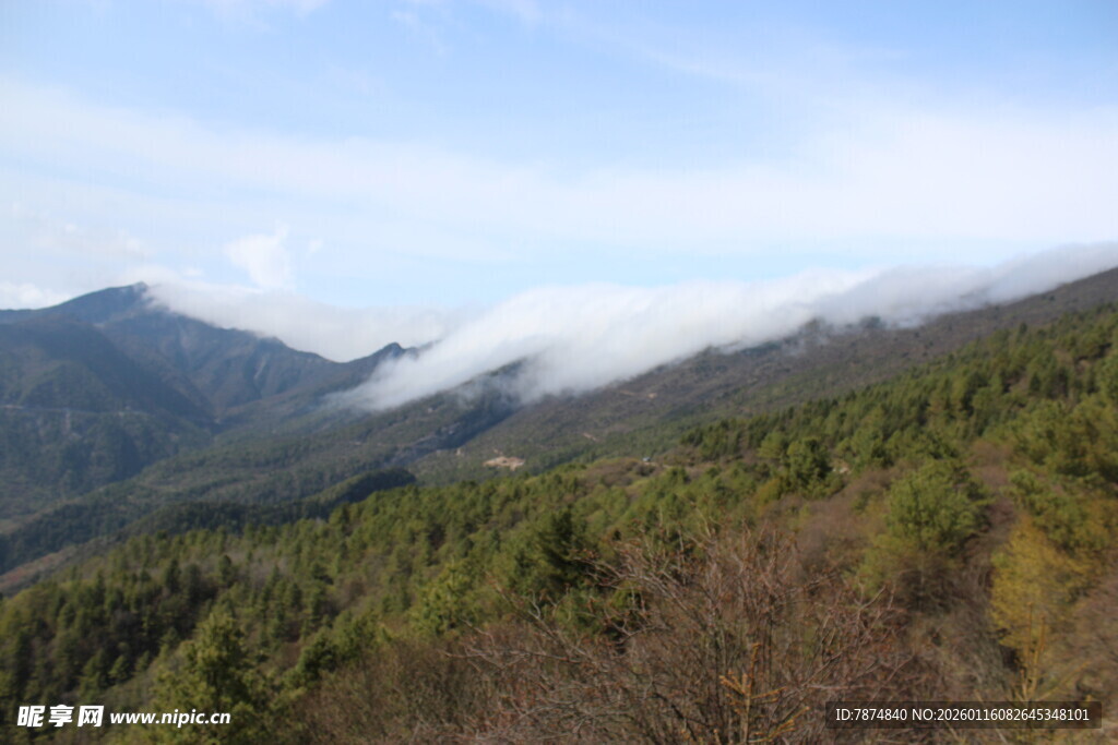 山间云雾缭绕的翠绿景致