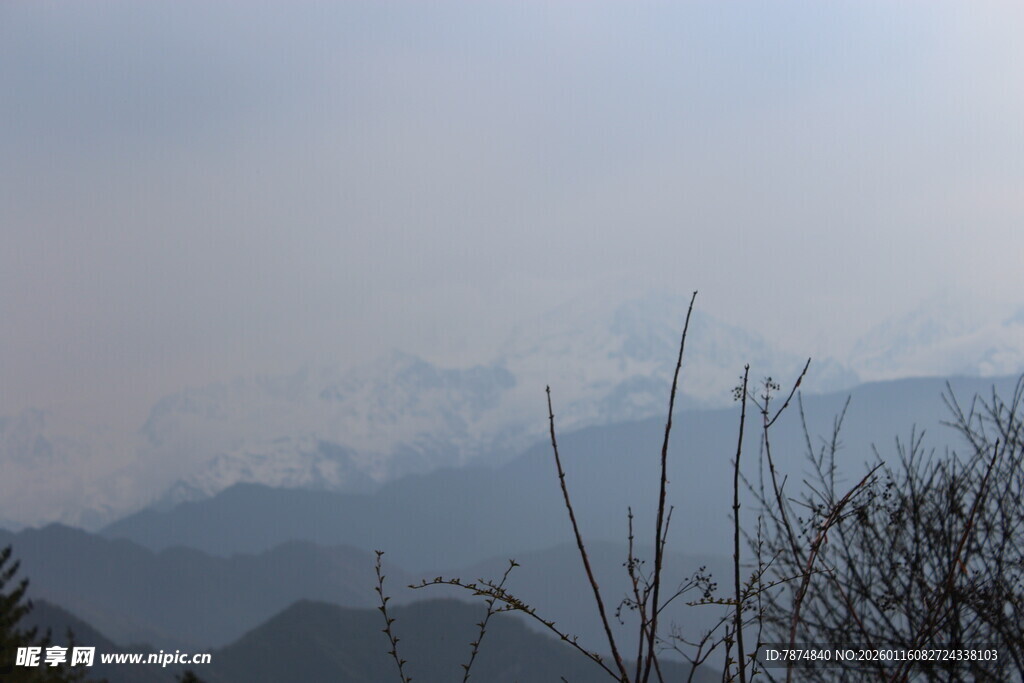 远山近枝 朦胧自然景致