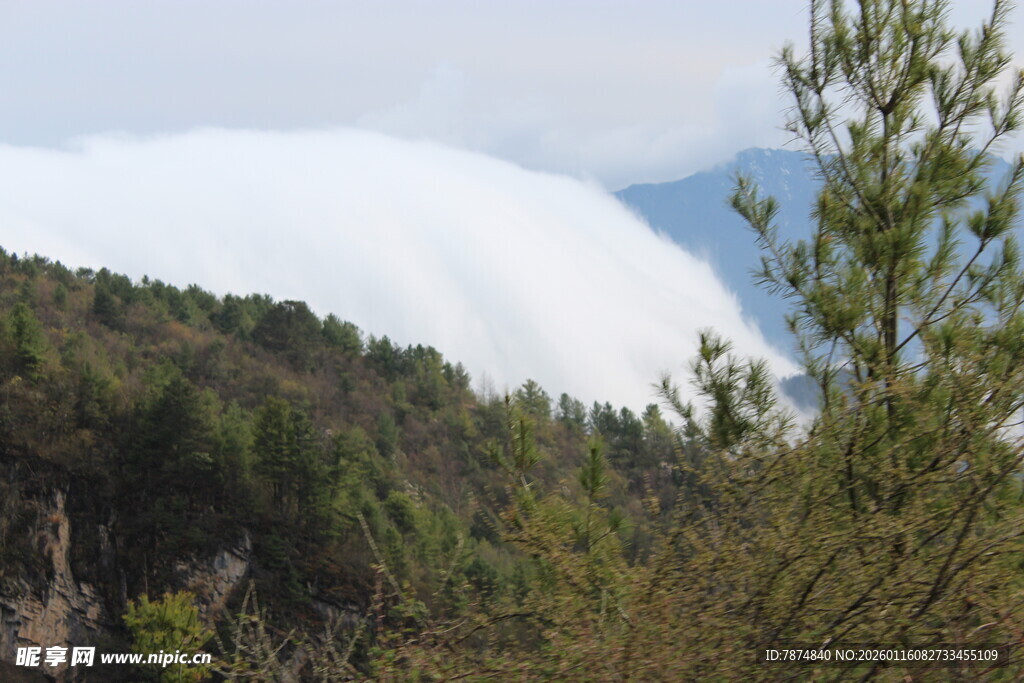 山林景致 云雾缭绕