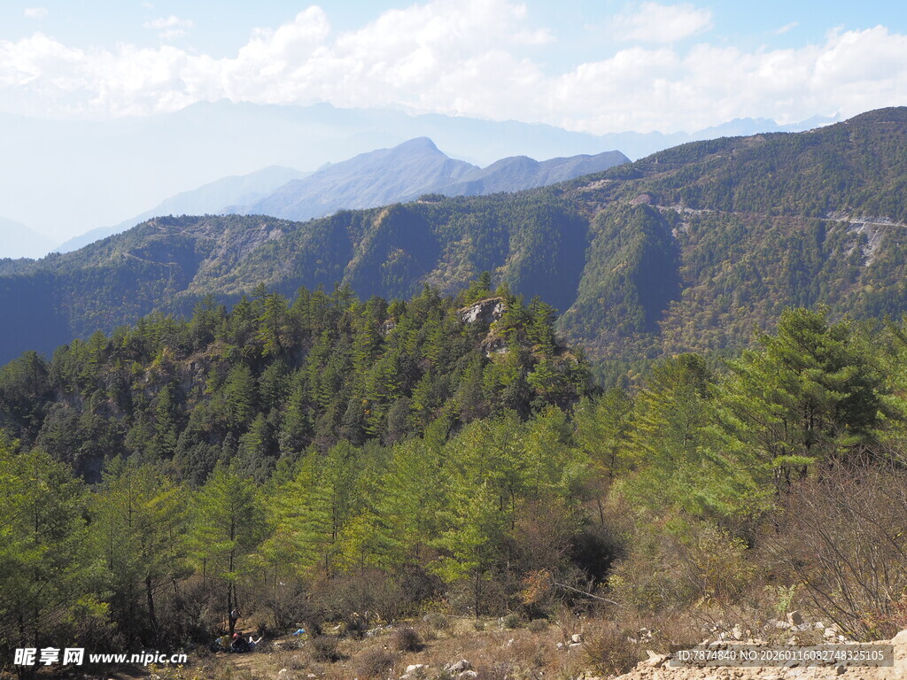 山间绿意盎然的秀丽景致