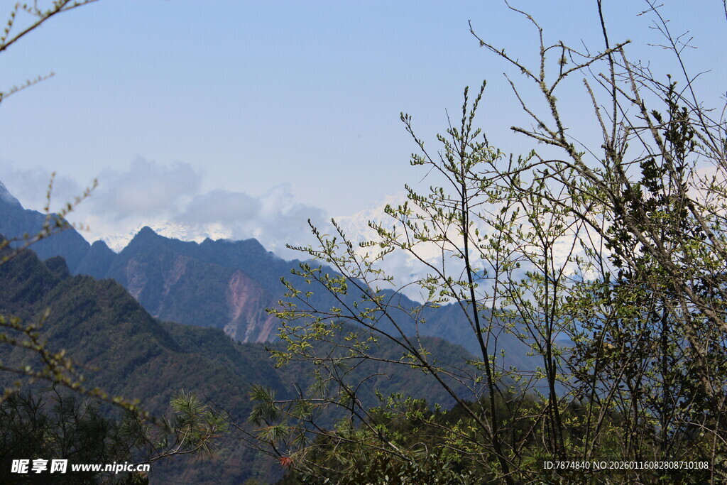 山间春景 枝叶伴远山