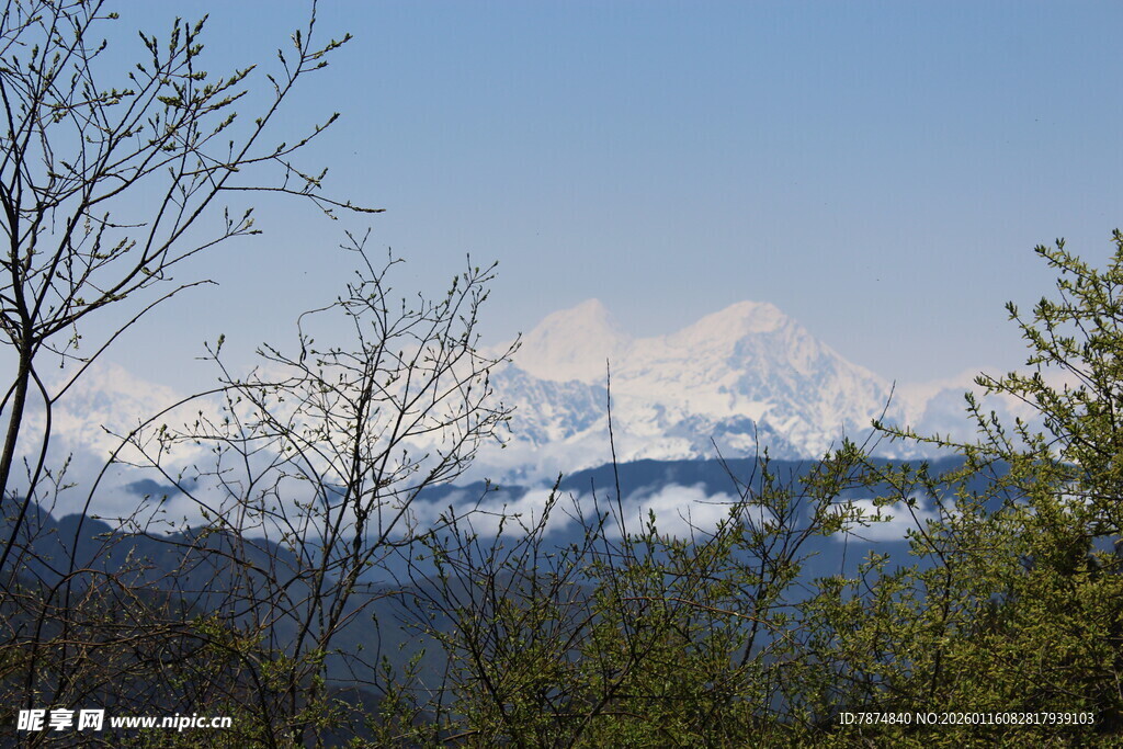 山林间远眺雪山美景