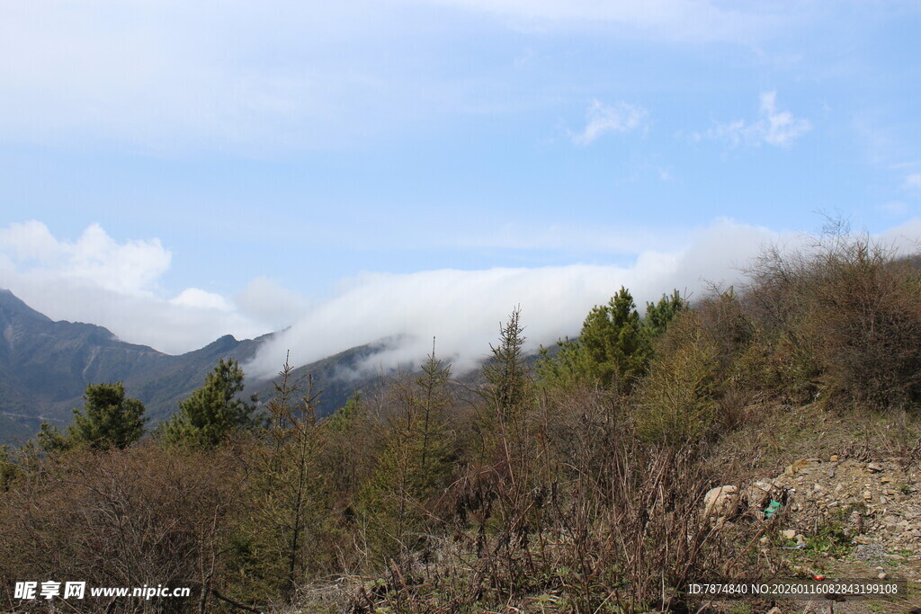 山间云雾缭绕的秀丽景致