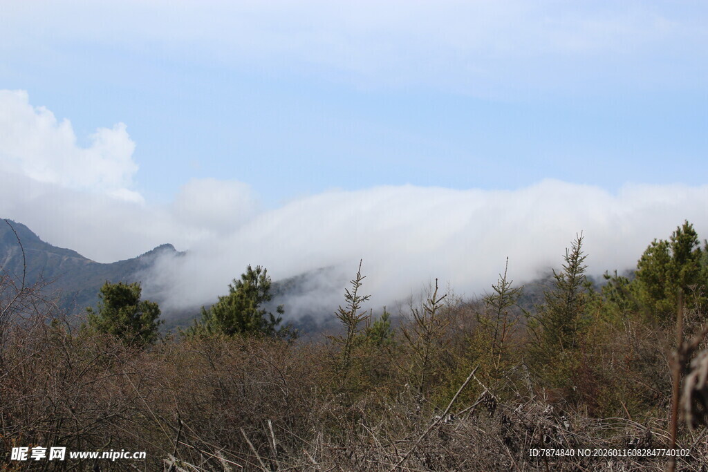 山间云雾缭绕的自然景致