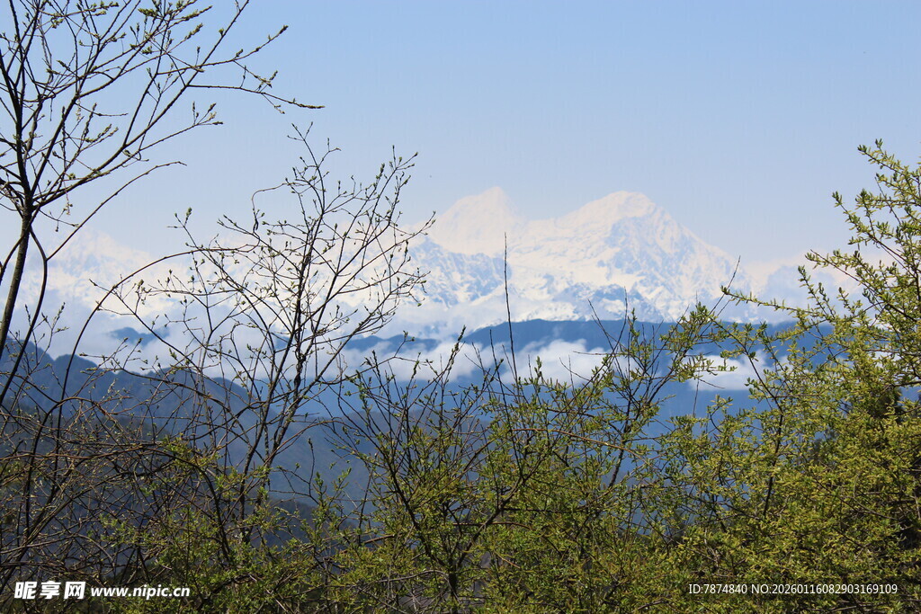 山林间远眺雪山美景