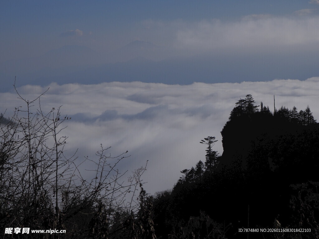 山巅云海景观