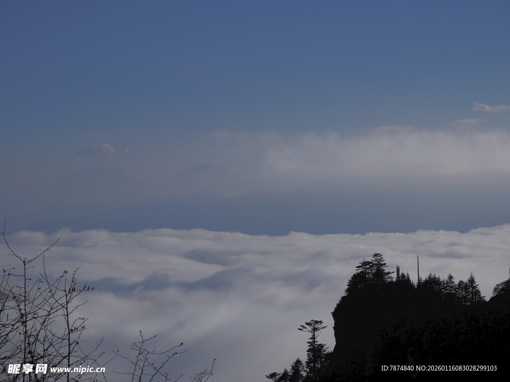 山巅云海壮丽景观