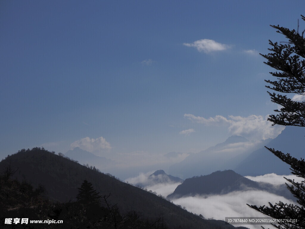 雪山松林间的壮阔蓝天