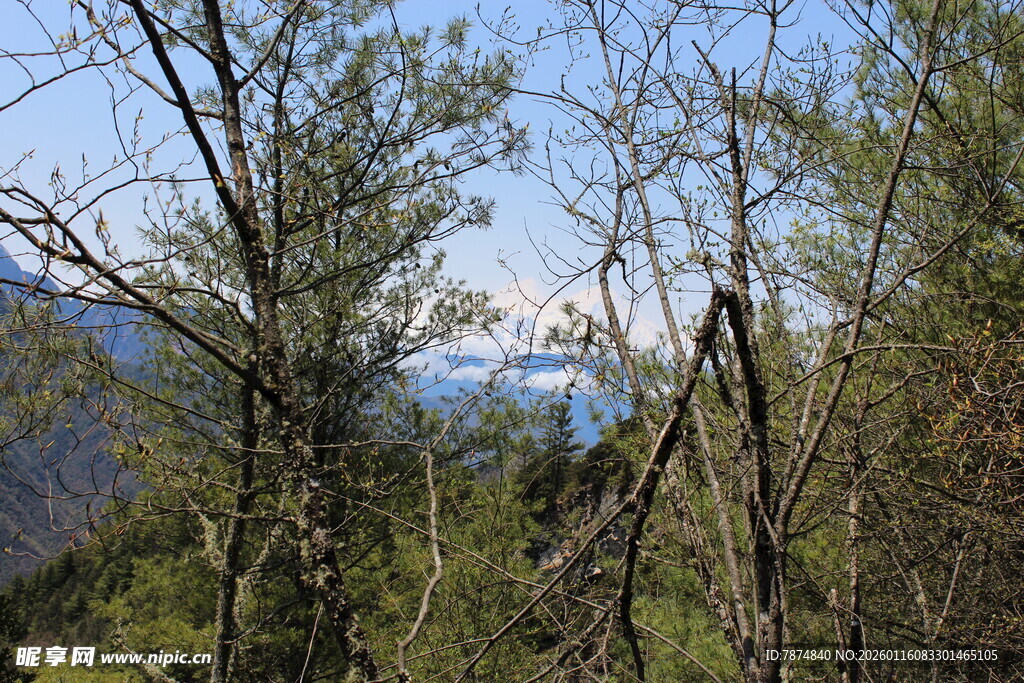 山林间的自然景致