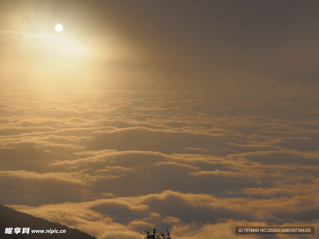 高空之上的壮丽云海日出