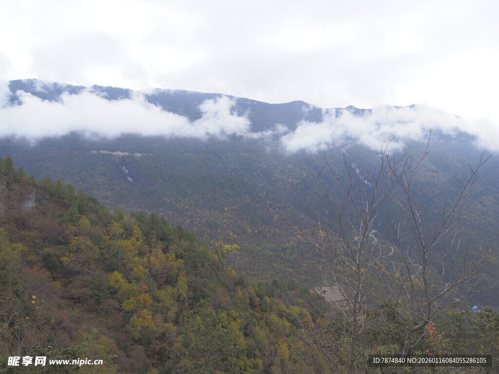 山间云雾缭绕的秀丽景致