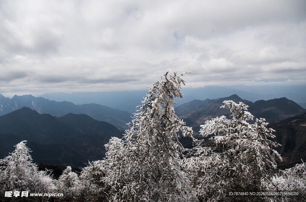 雪覆山峦 枝头银装素裹