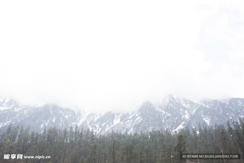 雪山下的森林美景