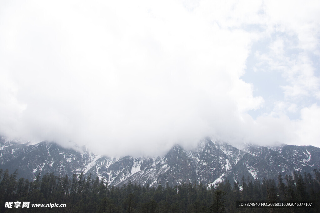 雪山森林景观