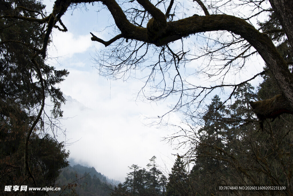 山林间的朦胧天空