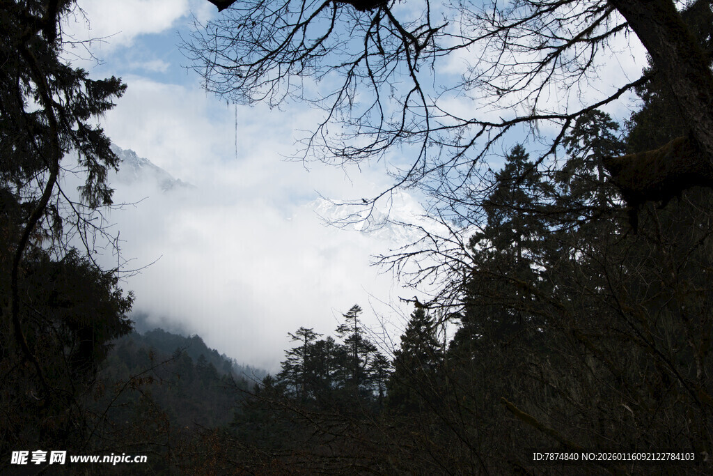 山林云海间的自然景致