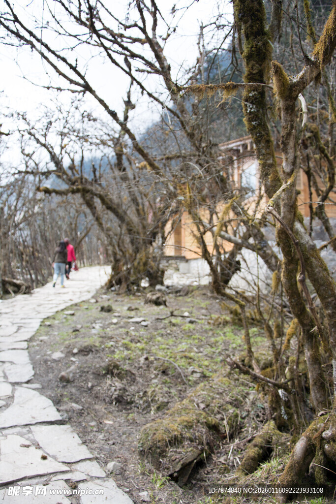 山间石板小径 行人漫步