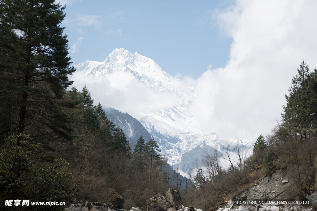 雪山森林美景